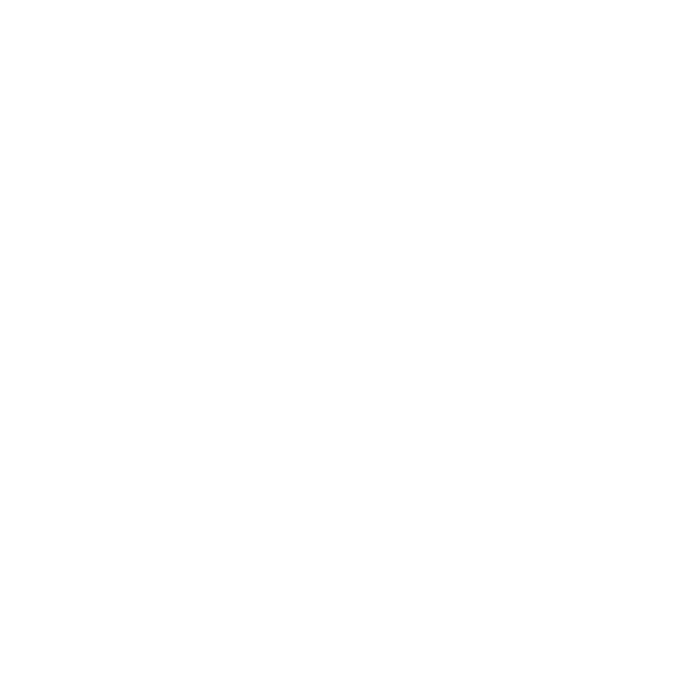 FTMO Logo